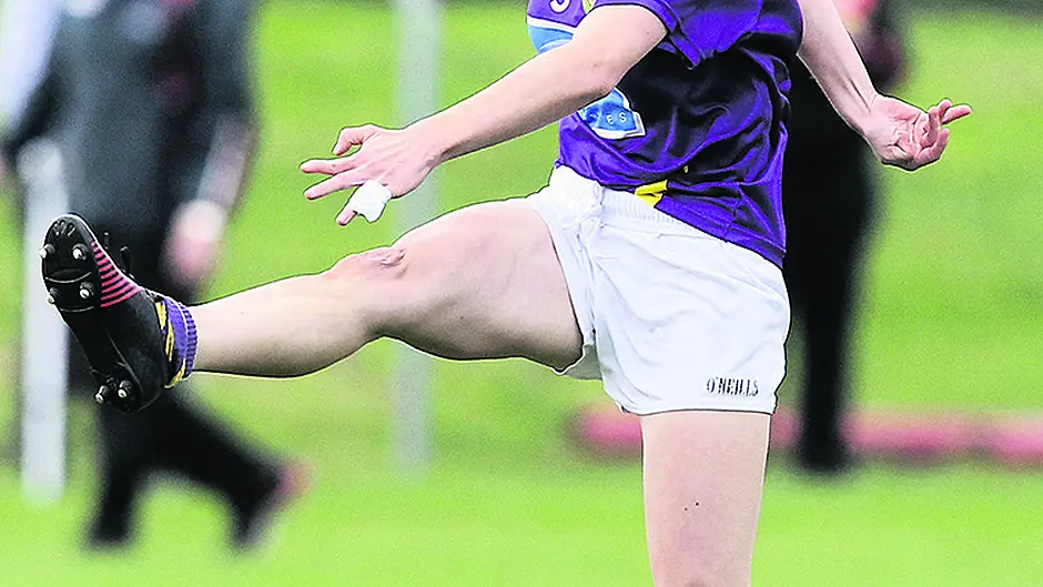 Doheny ladies hope it's third time lucky Image