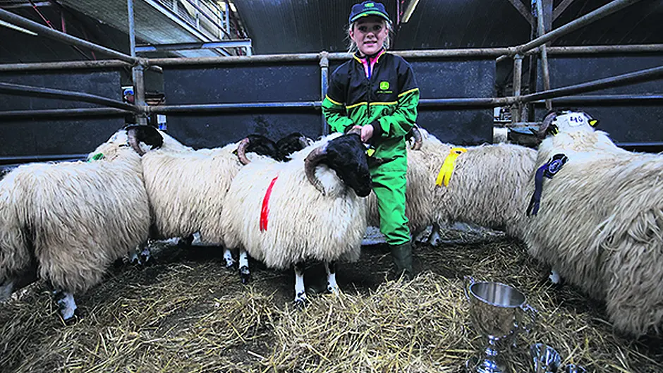 Success for Lucy and her little lambs Image