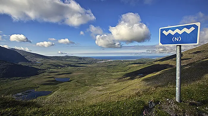Fáilte Ireland focus on food along the Way Image