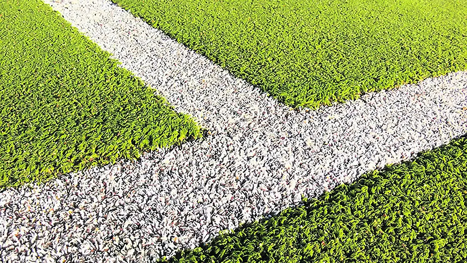 Carbery abandon plans to build 4G pitch Image