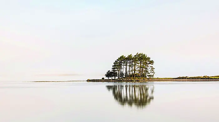 Four seasons of Beara captured on camera Image