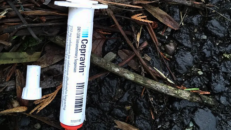 WATCH: Discarded syringes on N71 Image