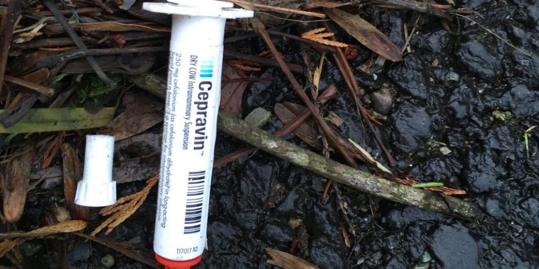 WATCH: Discarded syringes on N71 Image