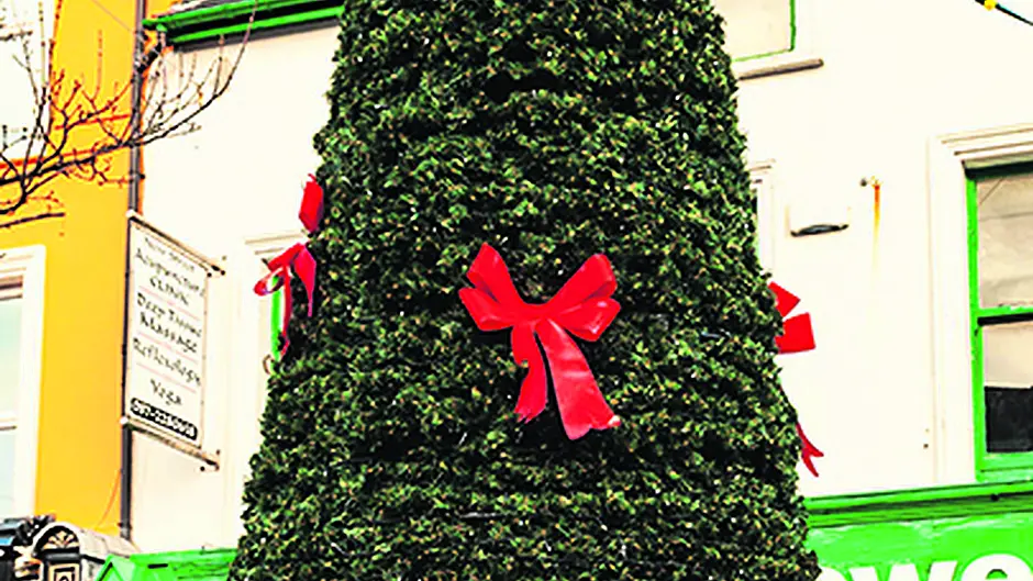 Town's new fake tree cost €7,600 Image