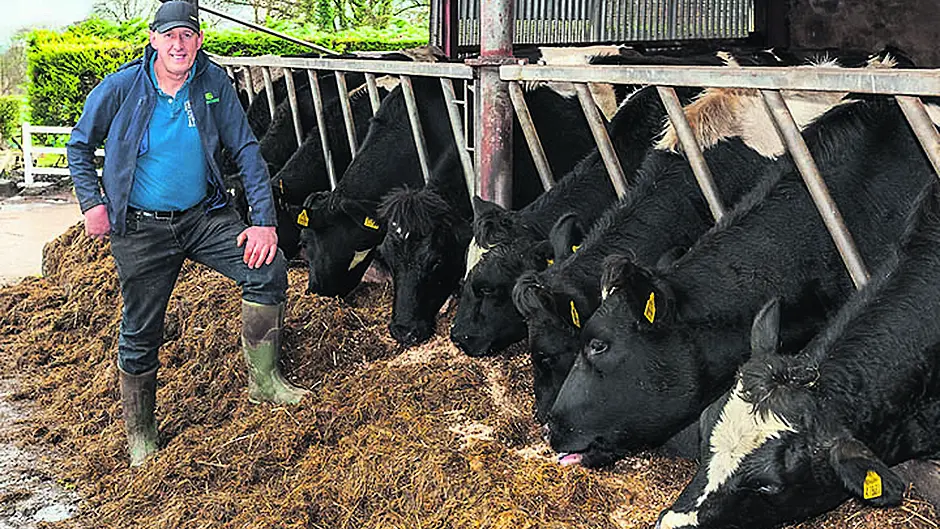 Mid Cork family wins Origin Green Farmer Award for Dairy Image