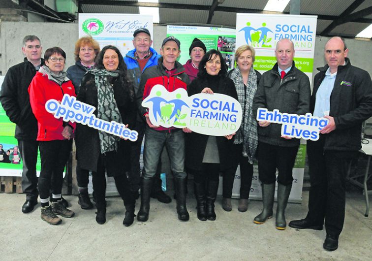 Commitment to funding for social farming initiatives Image