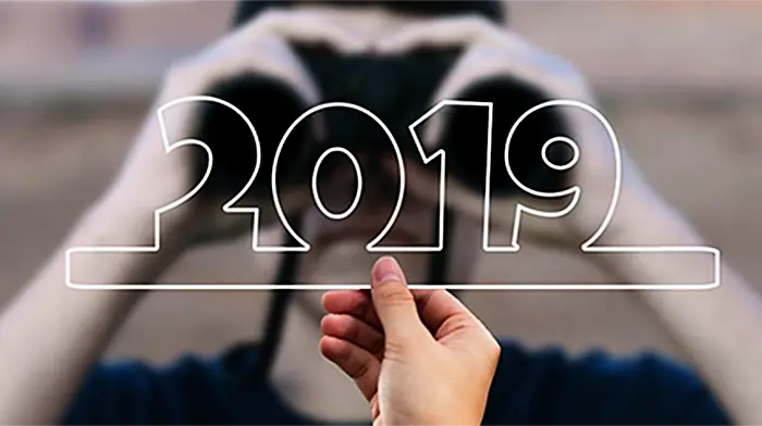 Some growth in prospect for 2019 Image