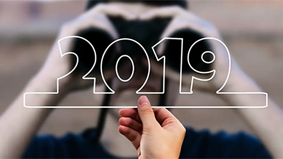 Some growth in prospect for 2019 Image