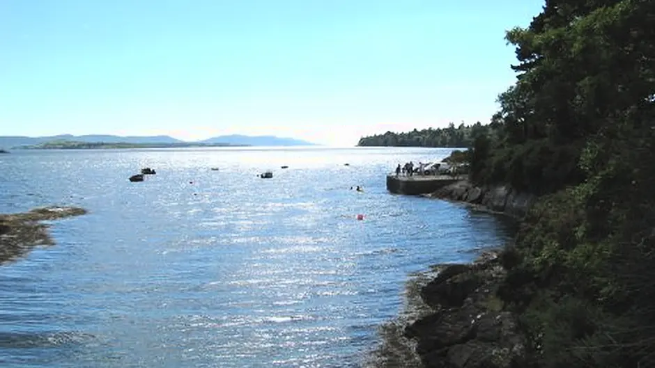 Funding to improve piers and harbours Image