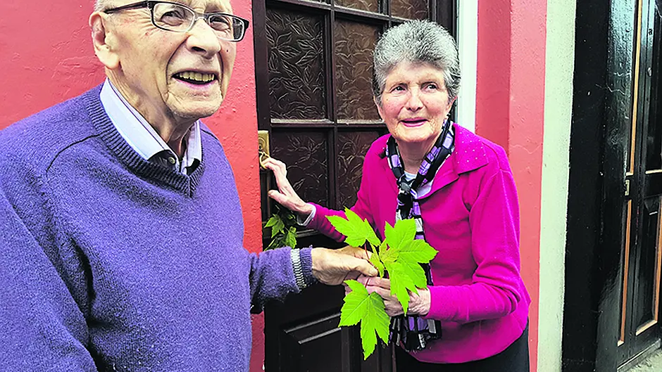 Death of much-loved local photographer Image