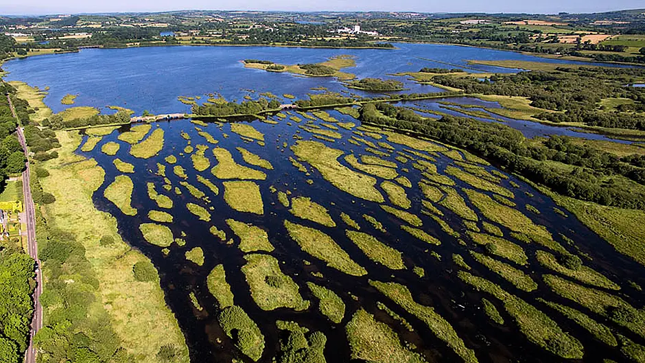 MEP Liadh wants top status for Gearagh Image