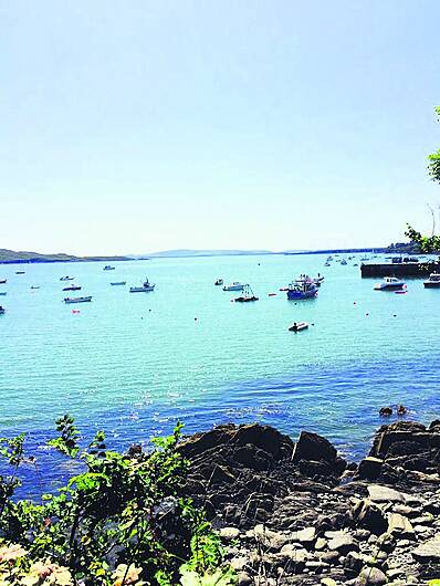 Pier parking annoys local fishermen Image