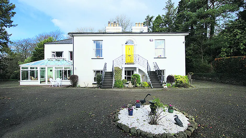 Put down your roots at Enniskeane's Bay Tree Image