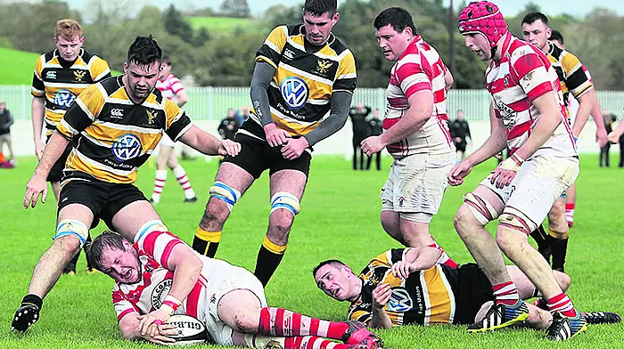 Skibb's hosting of Munster junior game will be celebration of rugby Image
