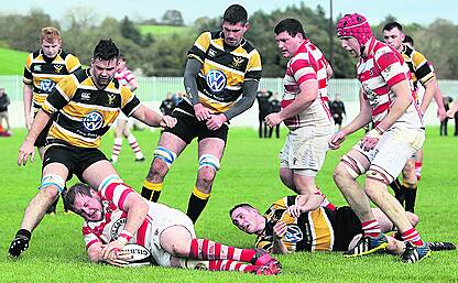 Skibb's hosting of Munster junior game will be celebration of rugby Image