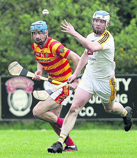 Crowley in top form as Bandon gain revenge Image