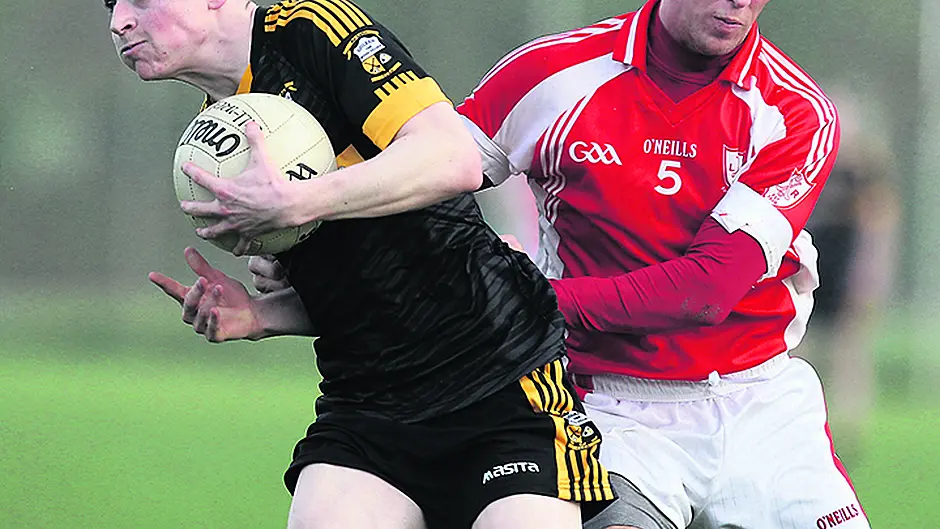 Goleen lay down early marker with dominant display Image