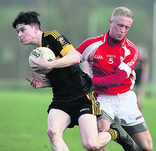 Goleen lay down early marker with dominant display Image