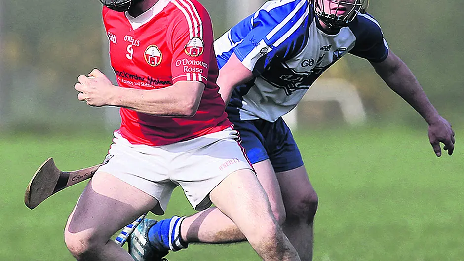 Breen is confident Skibb can build on potential Image