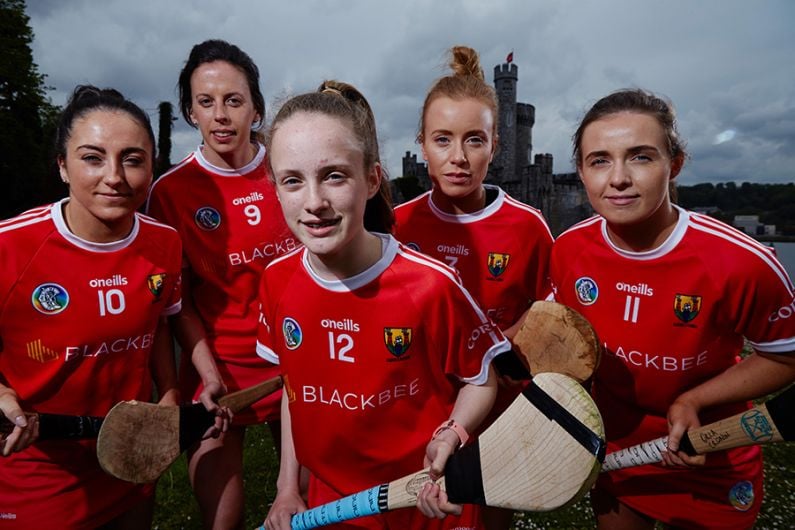 Murray feels that camogie will eventually adopt hurling rules Image