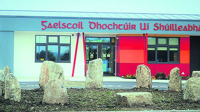 Creative Gaelscoil students duplicate Drombeg Stone Circle at their school Image