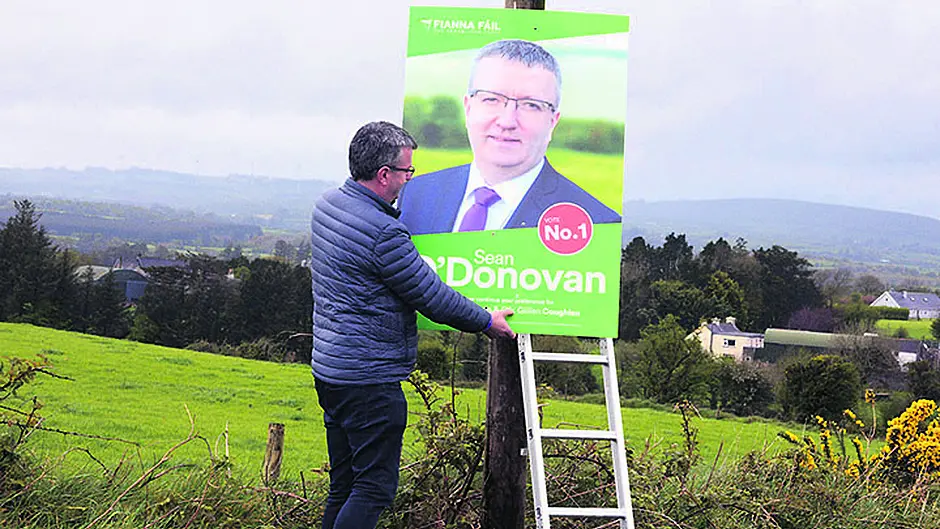 Candidates in business as posters go up – but Holly's go missing! Image