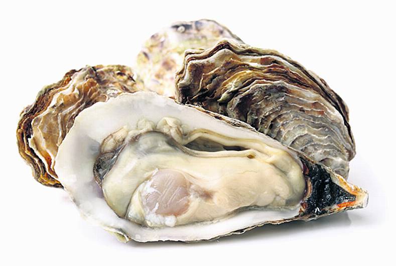 Oyster farm ‘no benefit' to ‘Haven Image