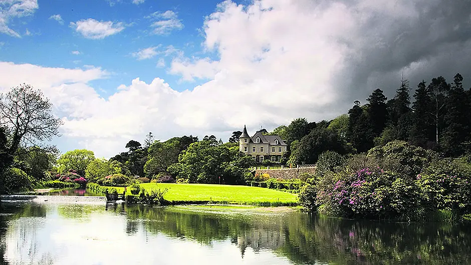 Big plans for Colette's Lisselan Estate Image