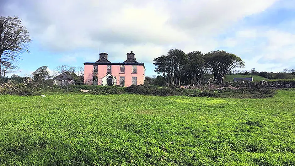 Council's 51 homes may be stalled by knotweed Image
