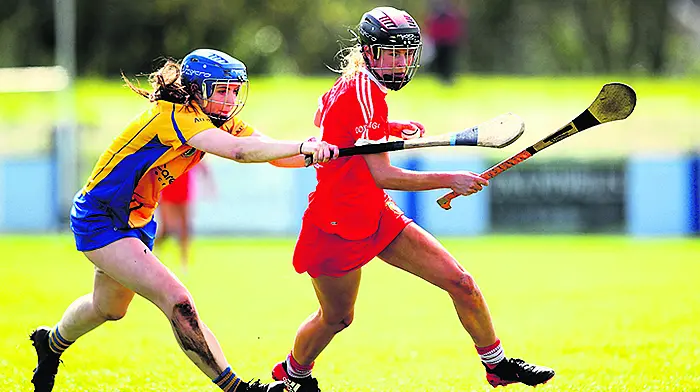Newcestown young gun Ciara helping Carbery camogie become a real force Image