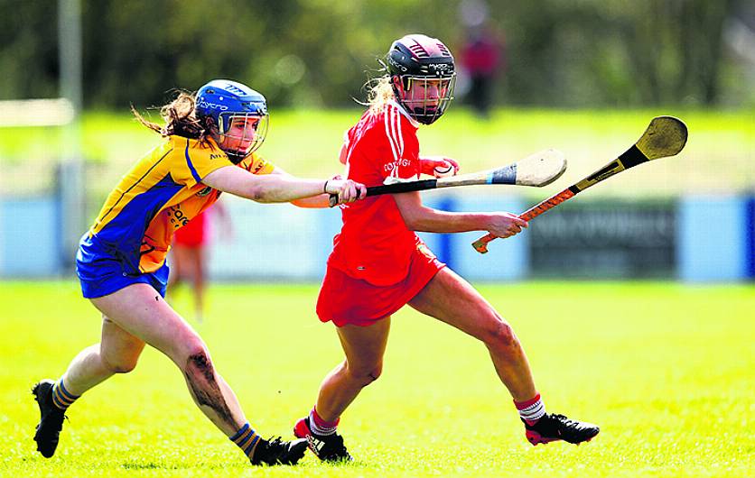 Newcestown young gun Ciara helping Carbery camogie become a real force Image