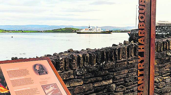 Call for Council to protect West Cork cruise tourism Image