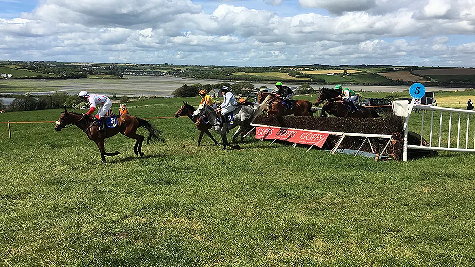 It's a whole new world at Clonakilty point to point Image