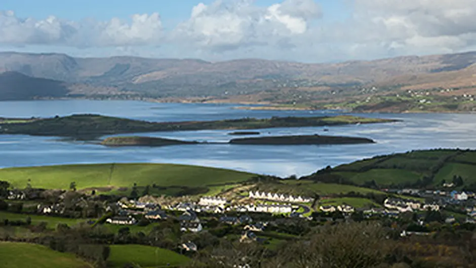 Bantry Bay kelp campaigners lose injunction case in High Court Image
