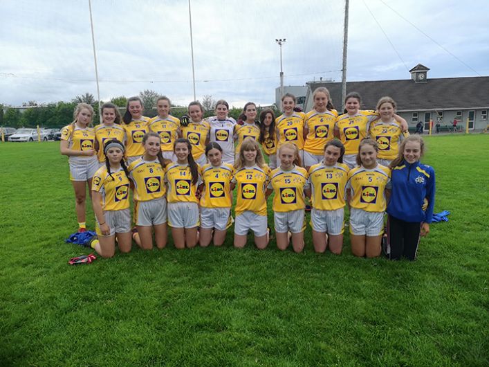 Bandon, Skibbereen and Ibane bask in West Cork U14 success Image