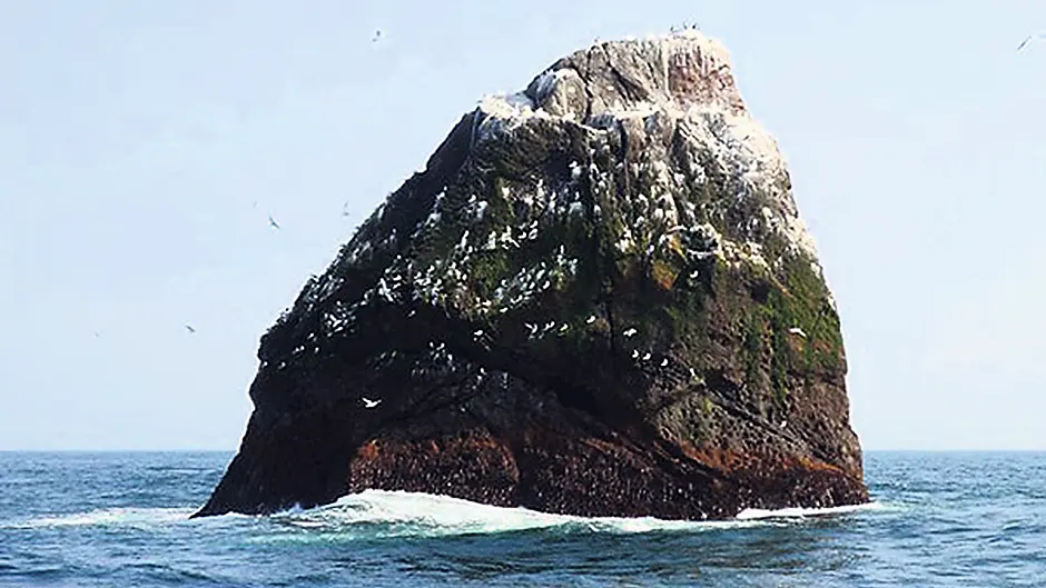 Castletownbere risks losing out on €8m in Rockall row Image