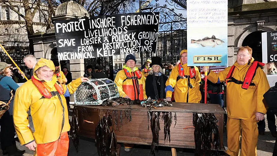 High Court rules in favour of Kerry firm in kelp harvest case Image