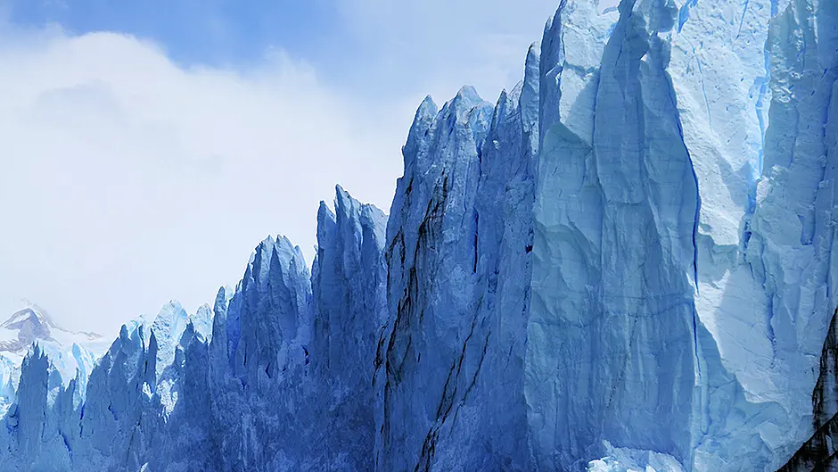 LAST WORD COLUMN: No time to build a Wall to keep the wildlings out of West Cork Image