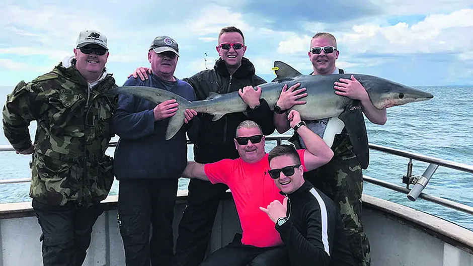 Season's second Blue Shark is landed by Dublin fire fighter Image