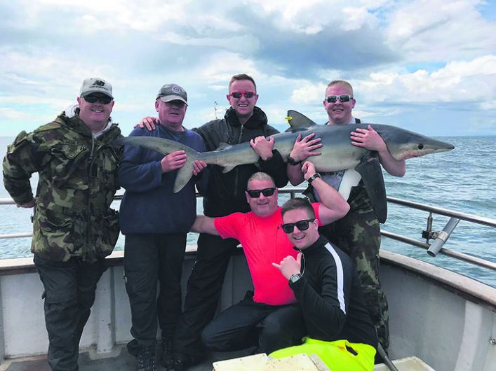 Season's second Blue Shark is landed by Dublin fire fighter Image