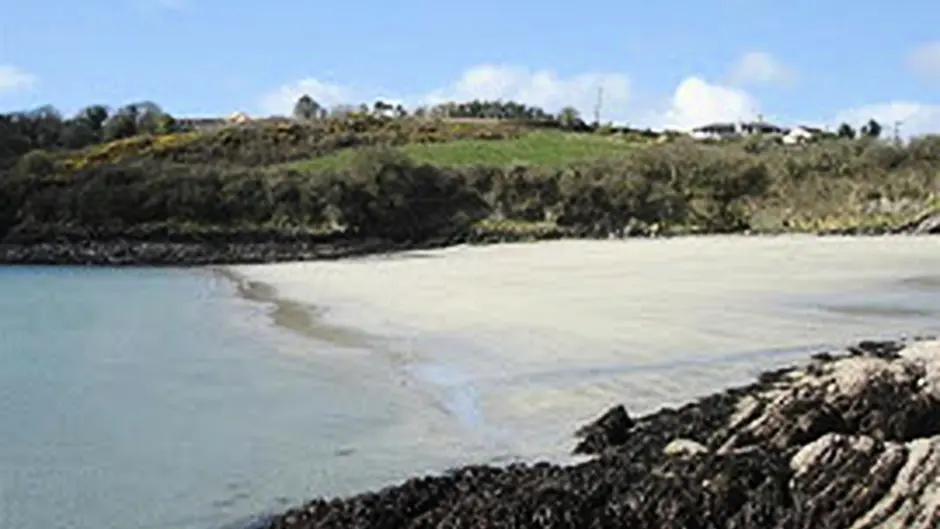 Dock Beach now cleared for swimming says Irish Water Image