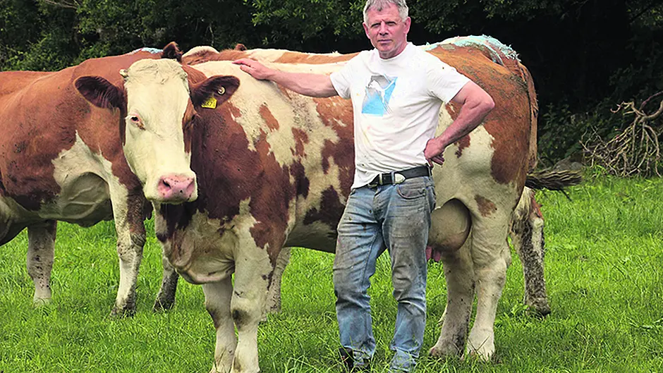 West Cork beef farmers angry they have been ‘sacrificed' in EU-Mercosur deal Image