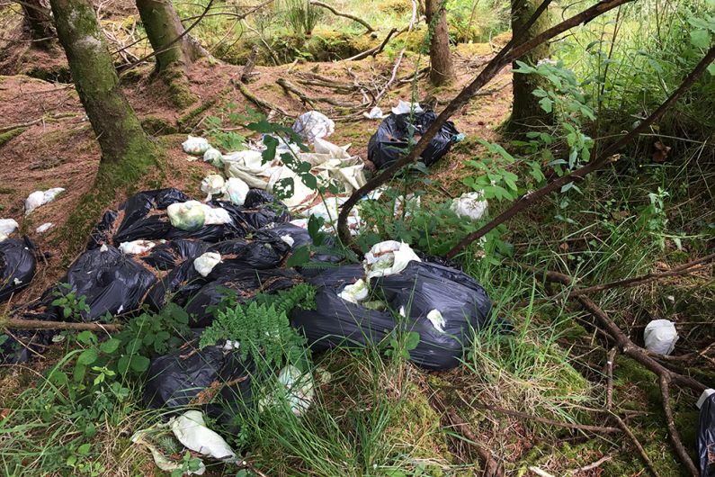 VIDEO: Nappies still dumped near N71 – four months later Image