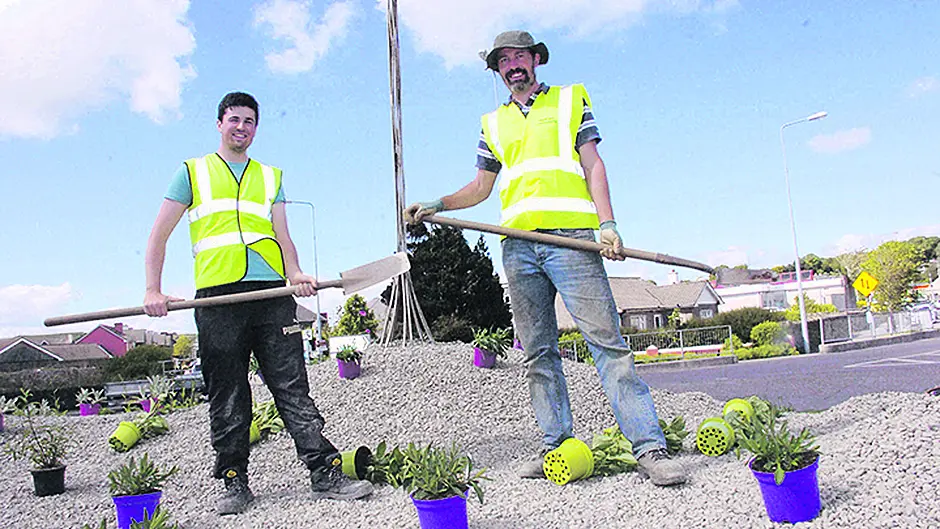 Big buzz at bee-friendly garden in Skibbereen Image