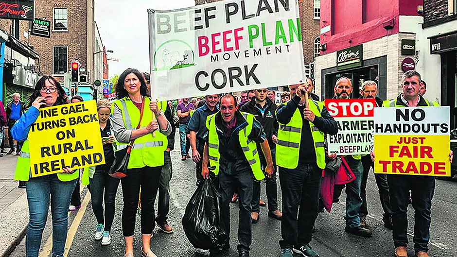 Councillor condemns ‘act of  treason against Irish farmers' Image