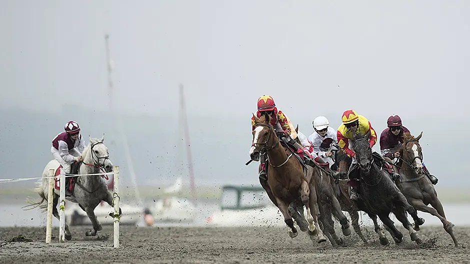 Bash It On takes top prize in Lislee Derby Image