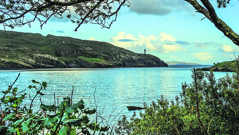 Gill netting will kill off Beara's  angling tourism, warns angler Image