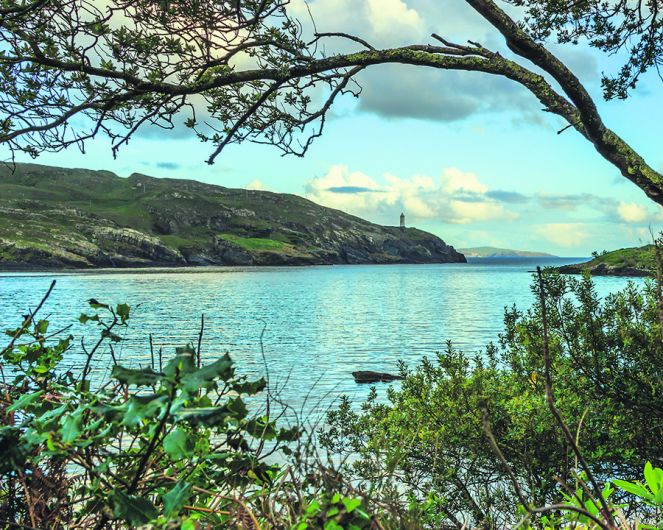 Gill netting will kill off Beara's  angling tourism, warns angler Image