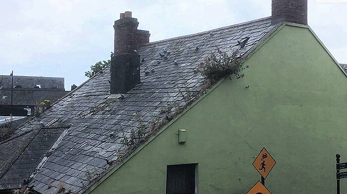 Clonakilty's 200-year-old Town Hall is ‘beyond repair', Cllrs told Image