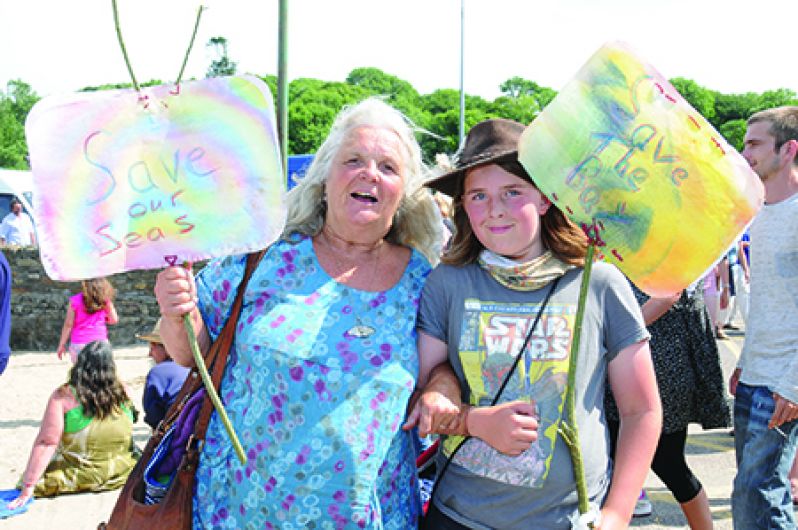 Judge says Bantry Bay kelp licence was never in place Image